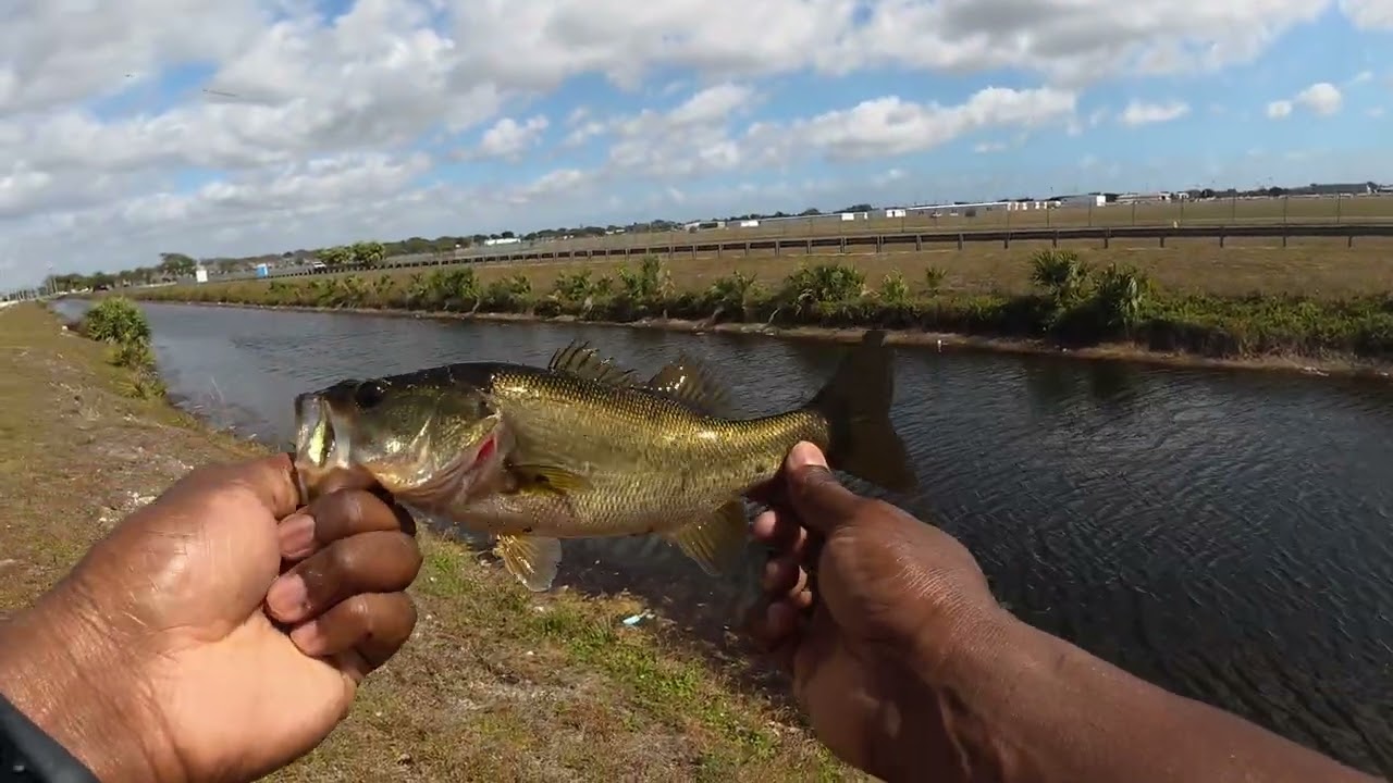 Fishing canals in South Florida 