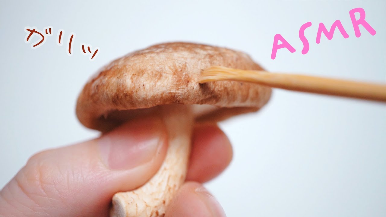 ASMR キノコで耳かき