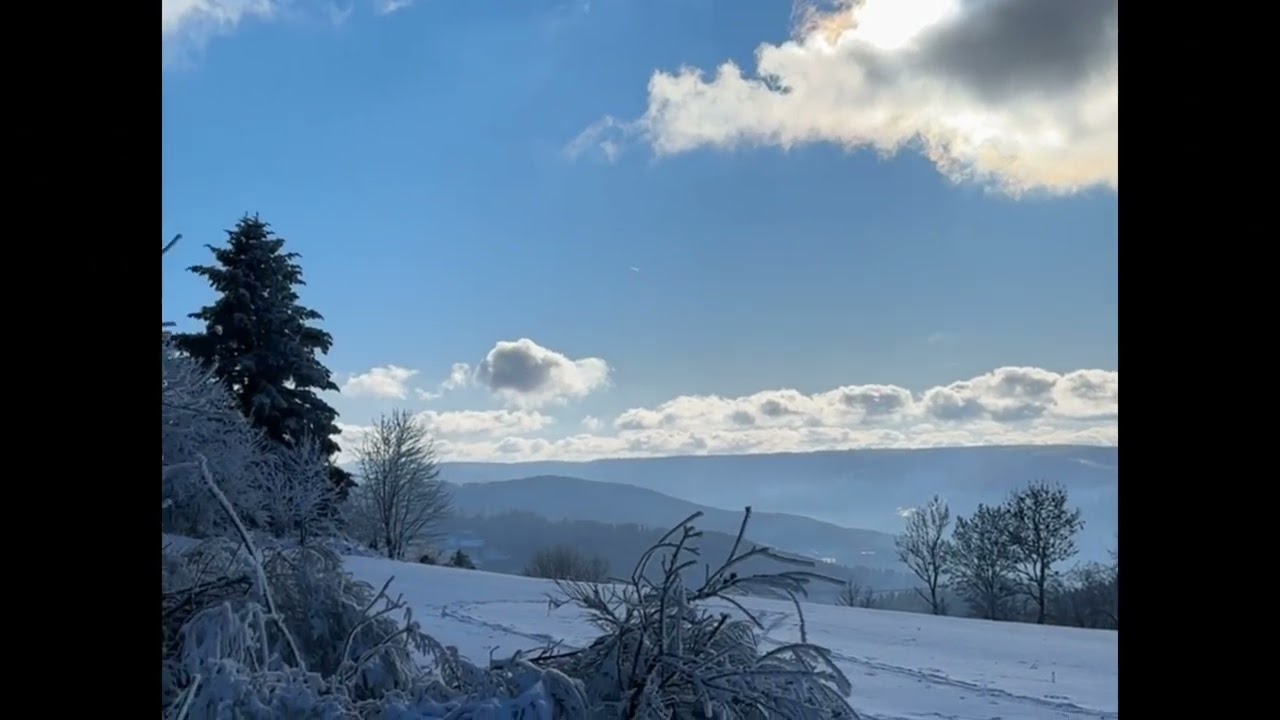 Petite balade dans la neige au haut du tôt 