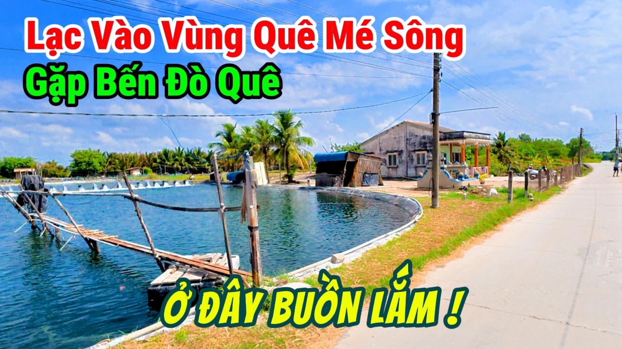 Khám Phá Xóm Làng Quê Bình Yên Miền Tây Những Ngày Qua Tết Như Thế Nào? Nắng Đẹp Miền Quê