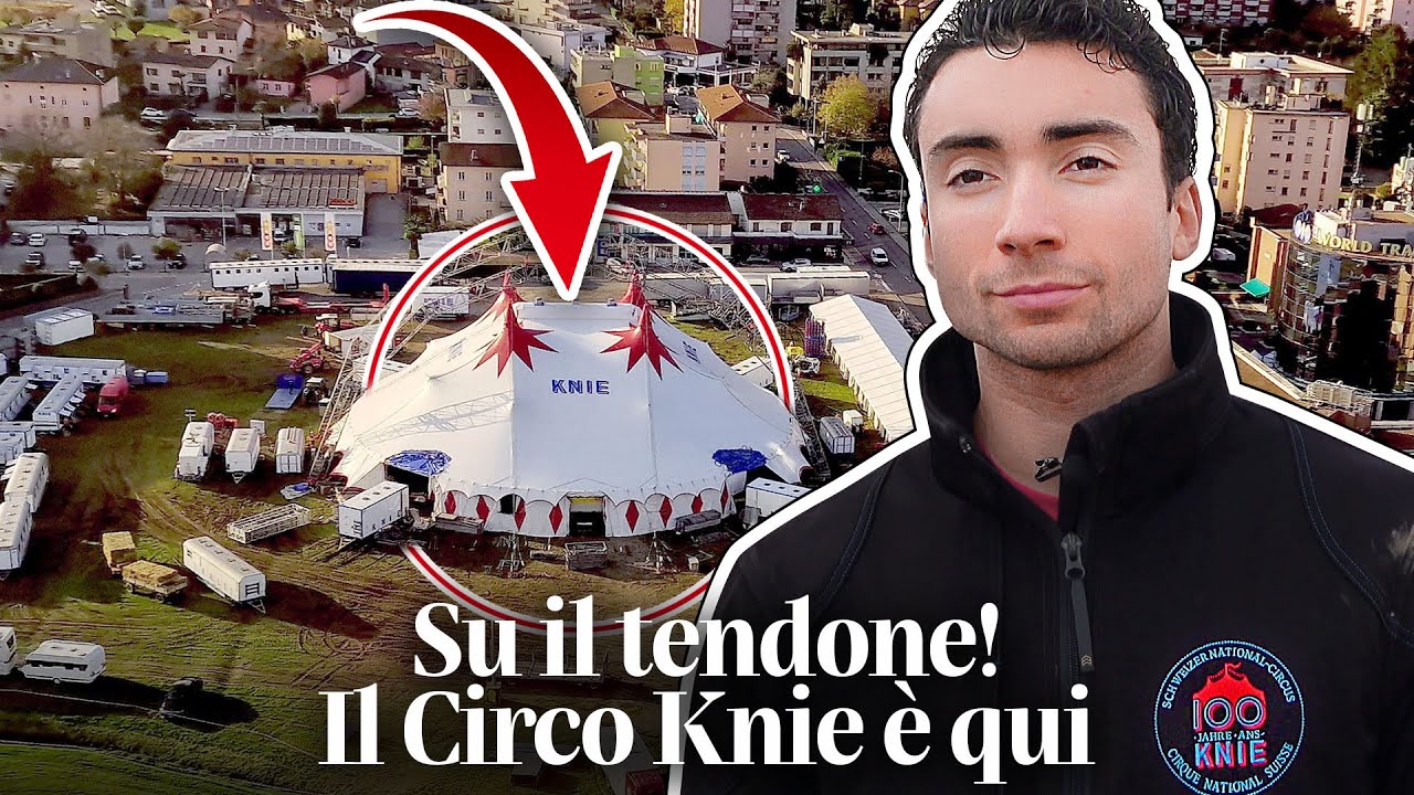 🎪🐎 Su il tendone! Il Circo Knie è arrivato in Ticino 🤡💃