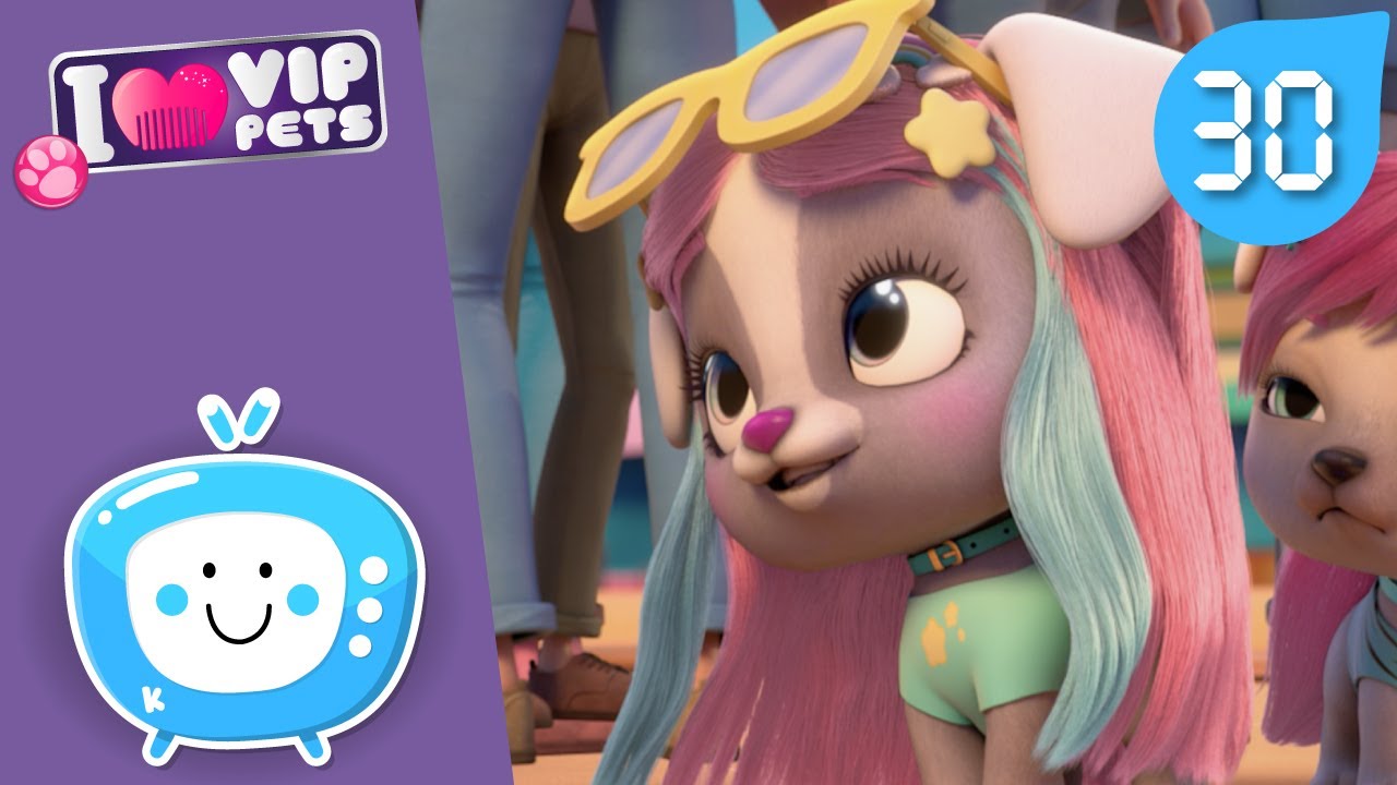 🤩 NAJLEPSZA NOWA STYLÓWKA 🤩 VIP PETS 🌈 KOLEKCJA ODCINKÓW ✨ Bajki dla DZIECI po POLSKU 📺