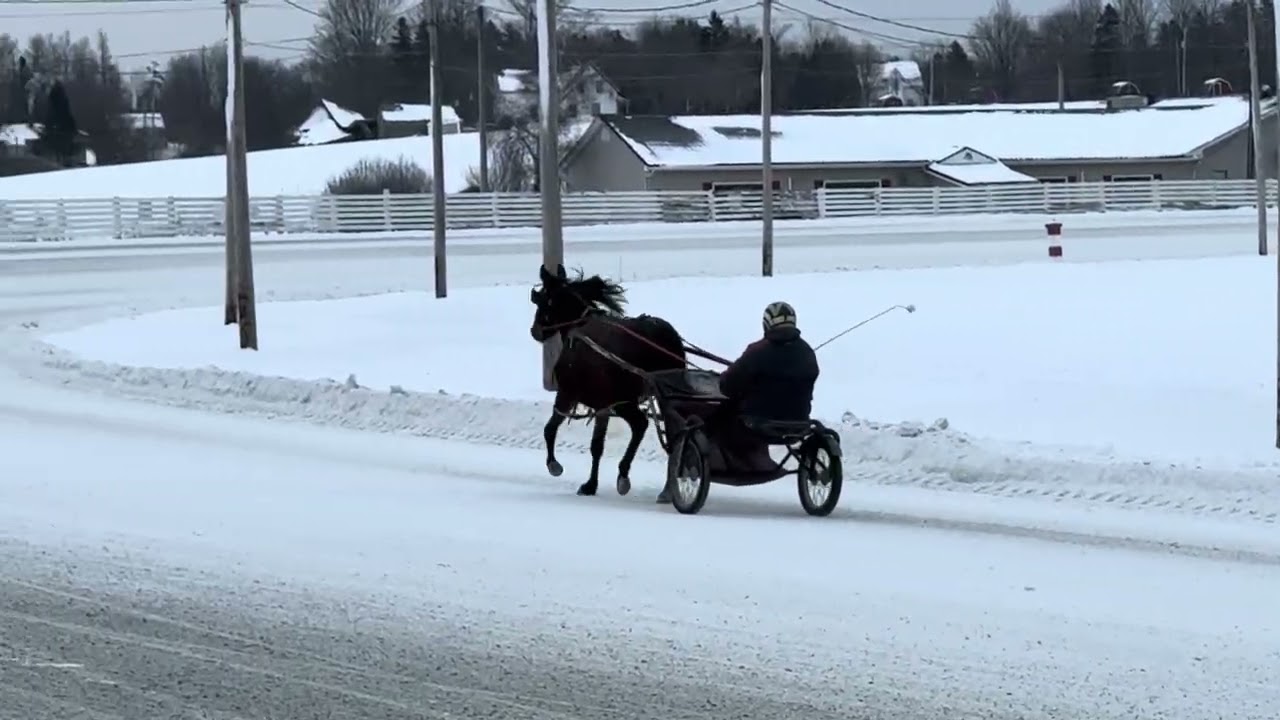 MIRAMICHI GINA - February 1st, 2026