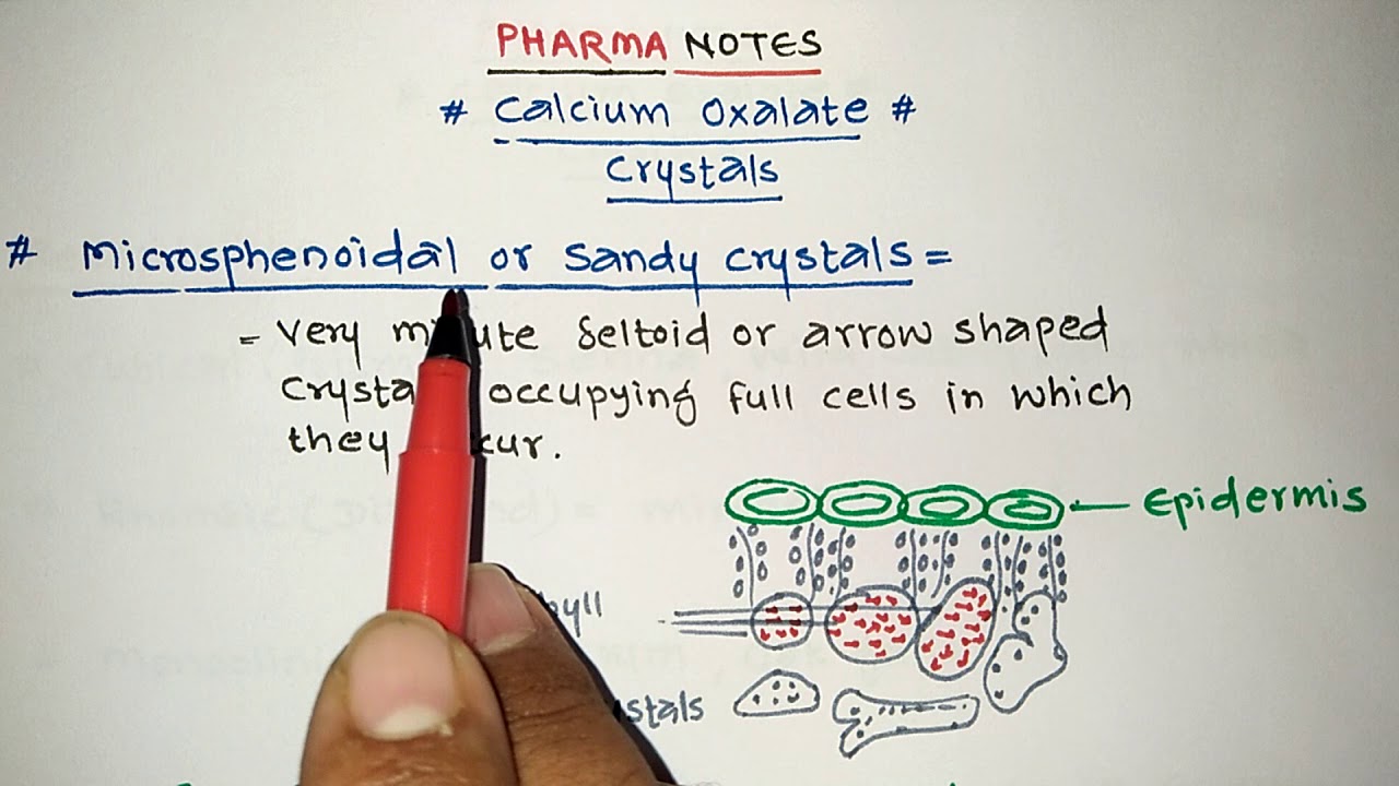 #CALCIUM OXALATE CRYSTALS #TRICKS #PHARMACOGNOSY #GPAT #NIPER #RRB #ESIC #PHARMACIST EXAMS #DI