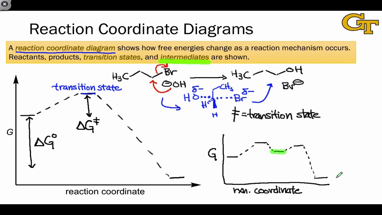 04.02 Reaction Coordinate Diagrams and Stability Trends