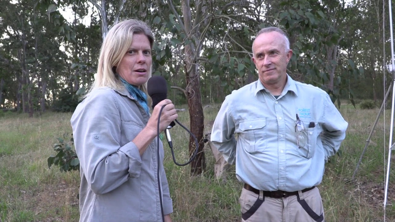 Welcome to Earthcare Park Landcare- join us!