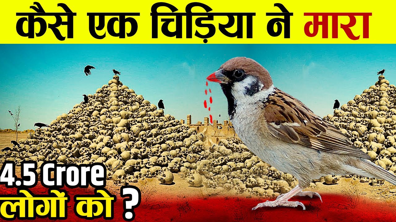 चिड़िया की एक गलती की वजह से चीन के 4.5 करोड़ लोगो की मौत | Great Sparrow Mission Of China