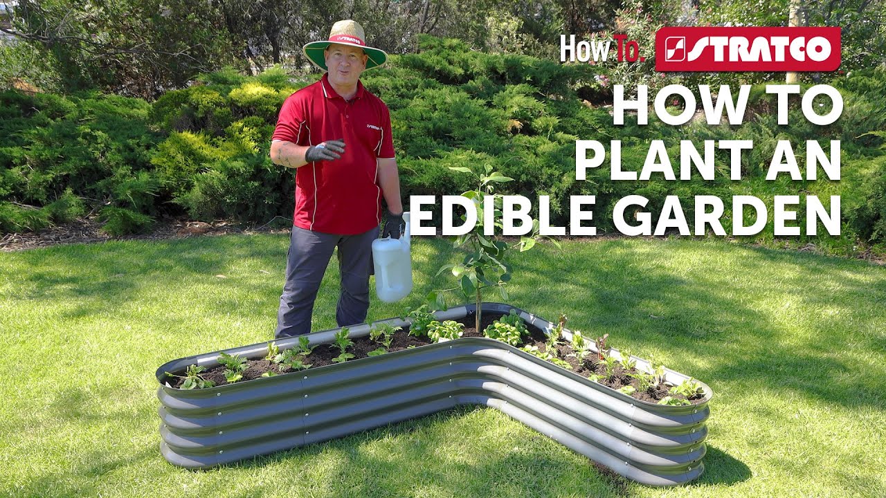 Stratco | How To Assemble an Edible Garden 2025