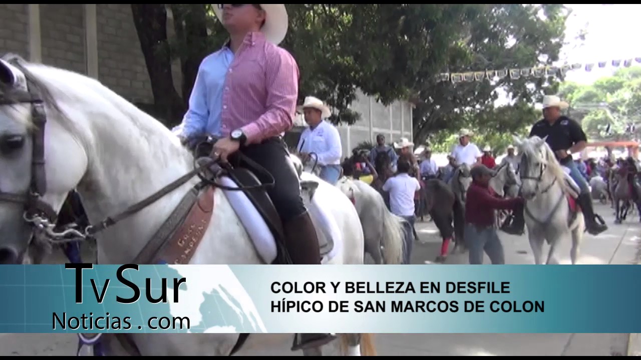 COLOR Y BELLEZA EN DESFILE HÍPICO DE SAN MARCOS DE COLON