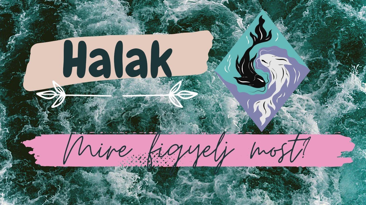 Halak ♓ | Mire figyelj most? | 2023 febru&aacute;r