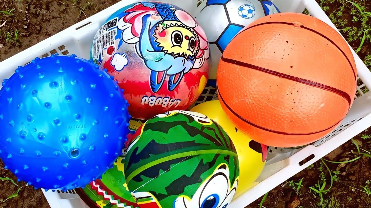 Seru menemukan bola warna warni 