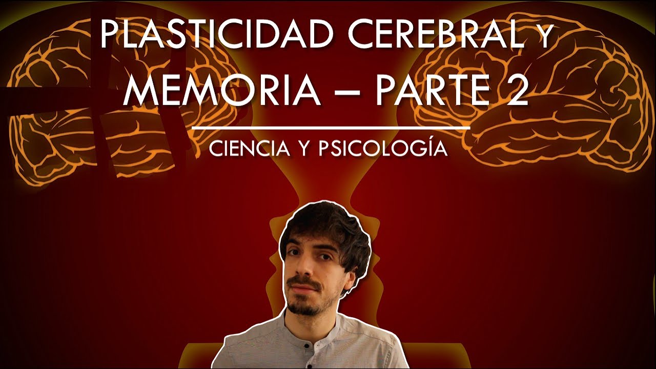 Plasticidad Cerebral y Memoria - Parte 2 | Ciencia y Psicología