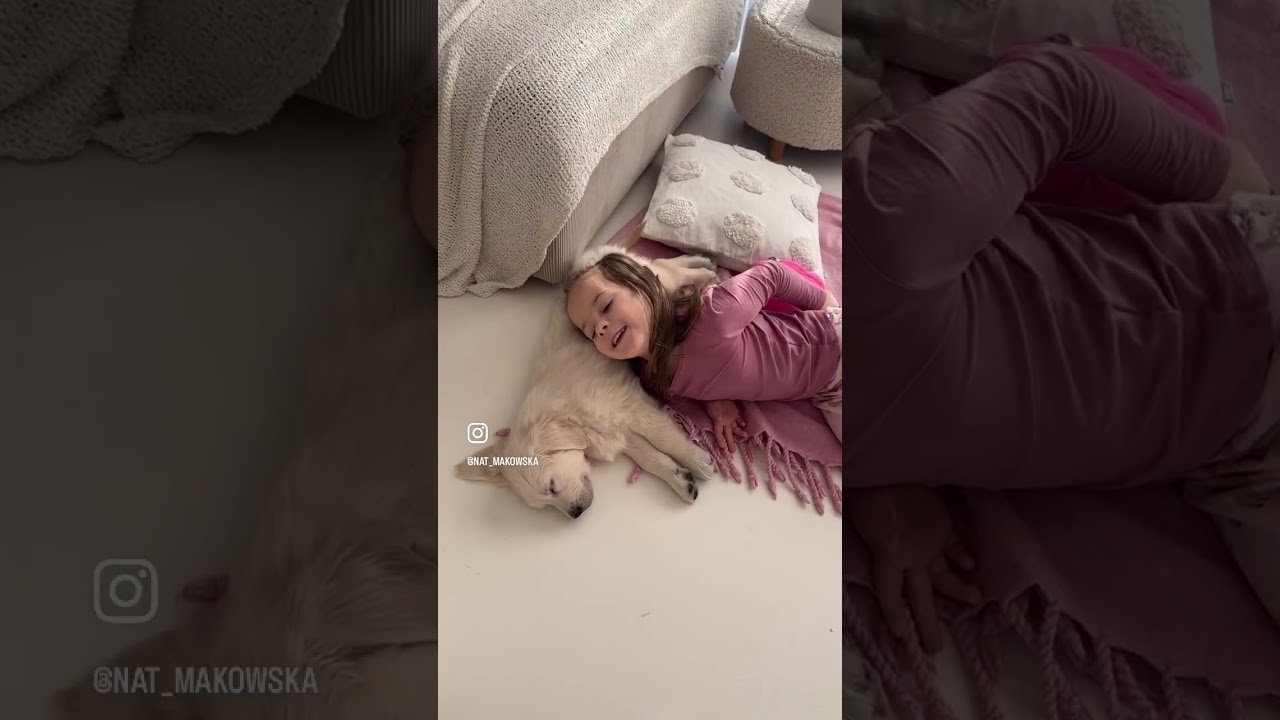 Słońce jeszcze zaświeci☀️ #nowypiesek #szczeniak #goldenretriever #vlog #rodzina