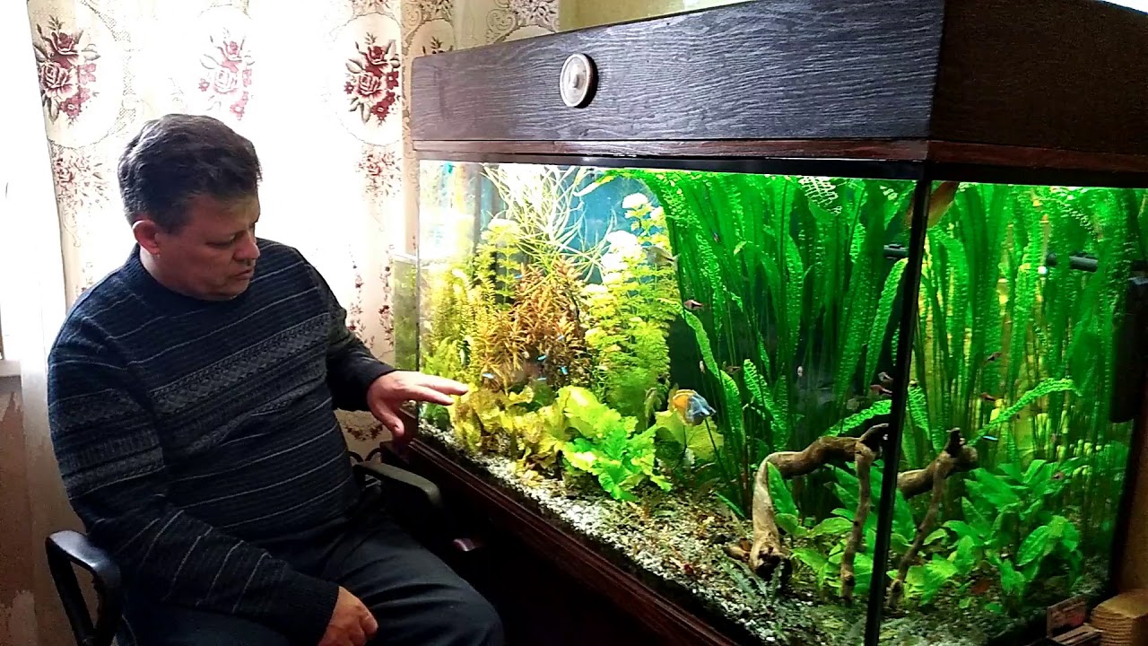 Мои ленивые аквариумы  Как я до такого  докатился