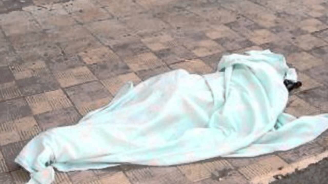 النشرة الاخبارية الاسبوعية