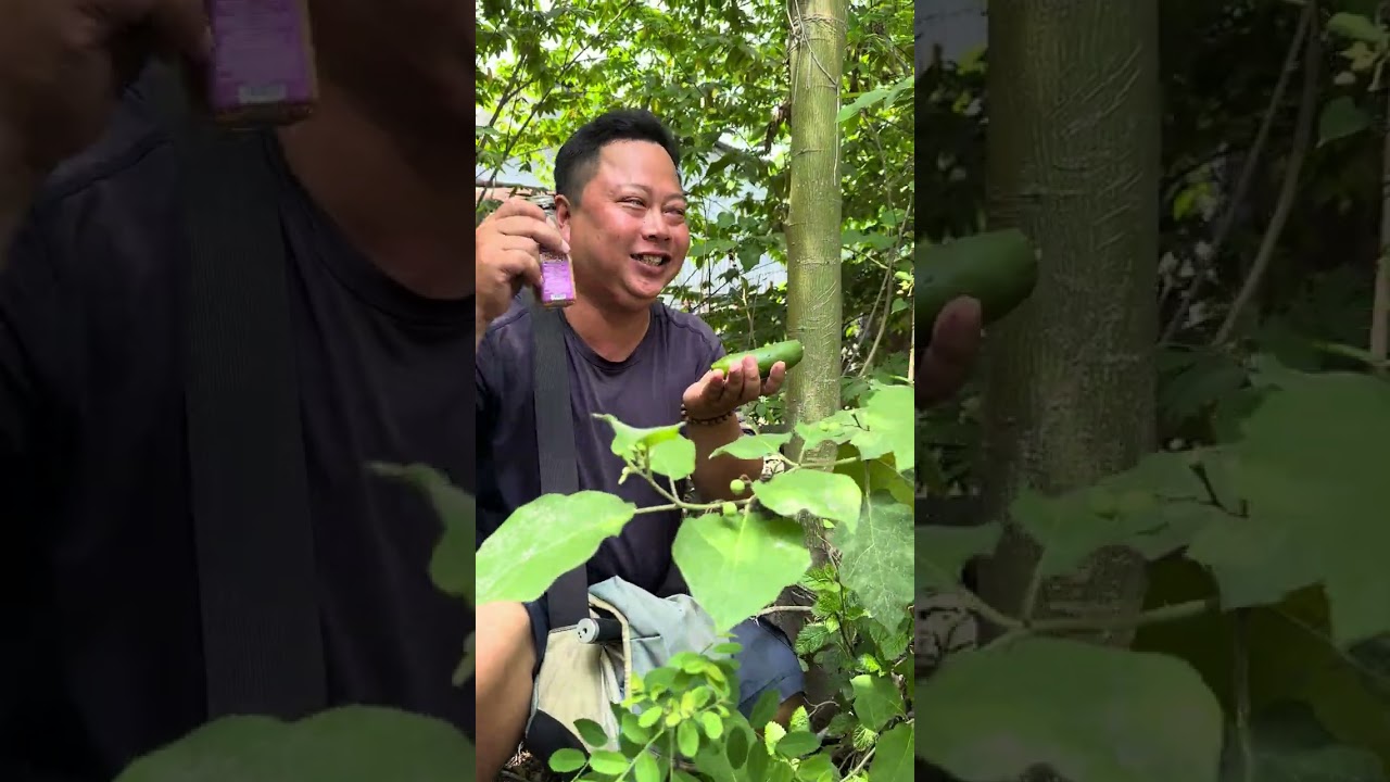 Vinh An Giang Ăn Trái Cây Lạ 