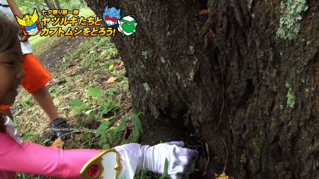 「鳳神ヤツルギ」七夕祭り第一弾！ヤツルギたちとカブトムシをとろう！