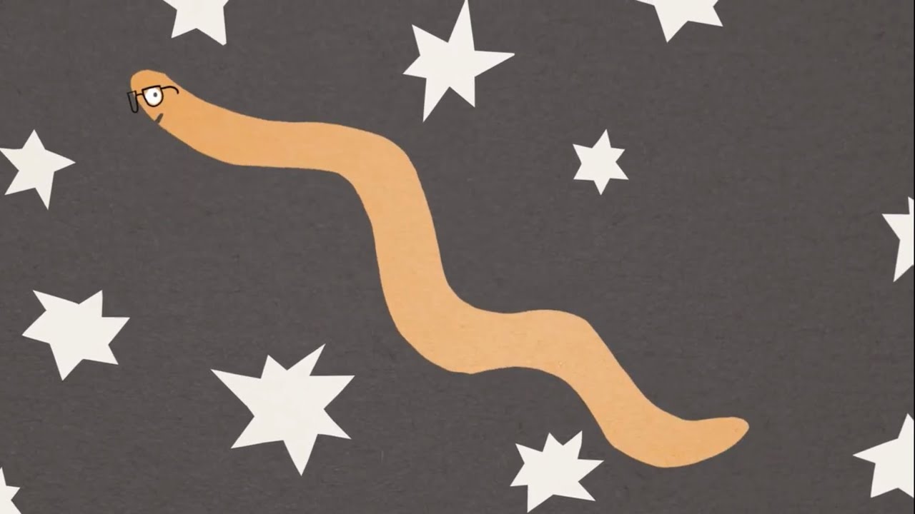 Mr. Greg & Cass McCombs - 