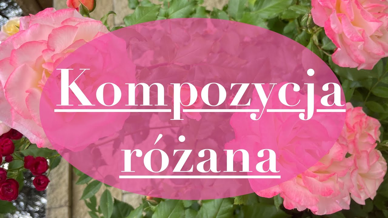 Kompozycja różana