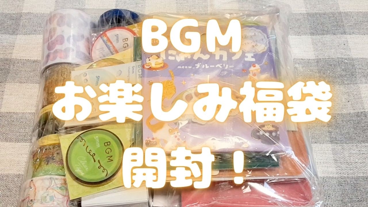BGM お楽しみ福袋 開封！｜文房具好きの開封動画｜2026年2月21日撮影