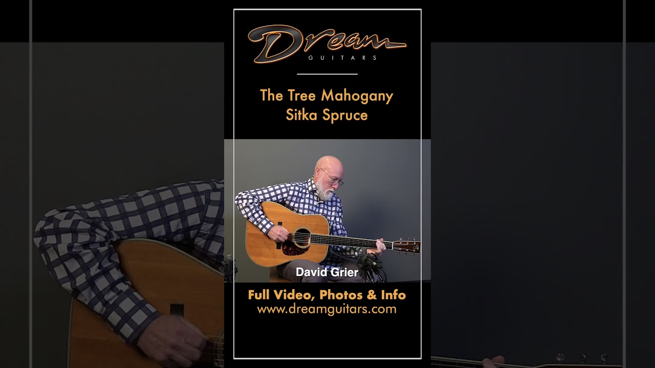 Dream Guitars - 1992 Santa Cruz Vintage Artist, The Tree Mahogany/Sitka Spruce 