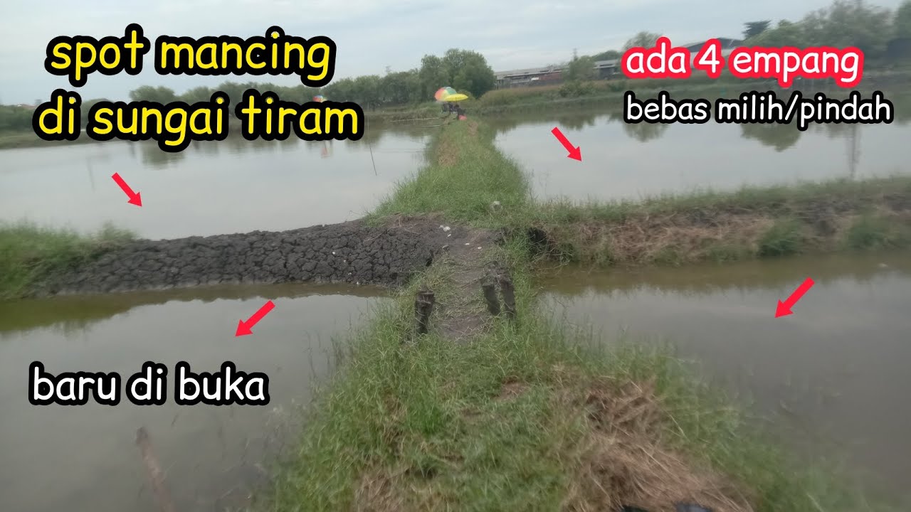 Mancing marunda terbaru || empang baru di buka daerah sungai tiram || empang pak bambang