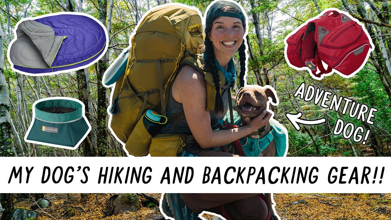 What I Bring to HIKE and BACKPACK with My Dog! | Miranda in the Wild