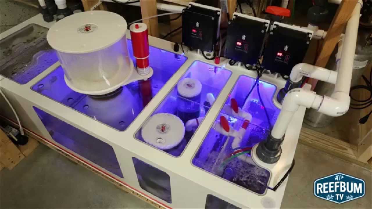 Video Review of Royal Exclusiv Dreambox Sump