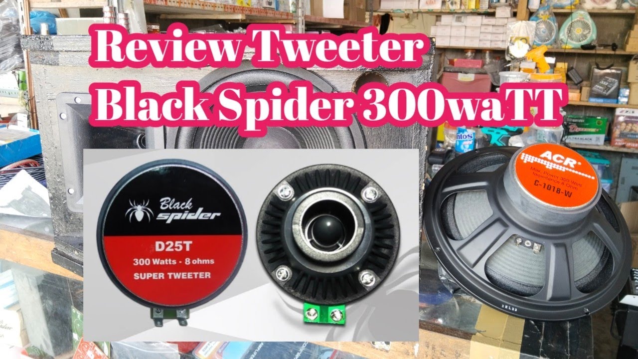 Review Tweeter Black Spider 300WATT