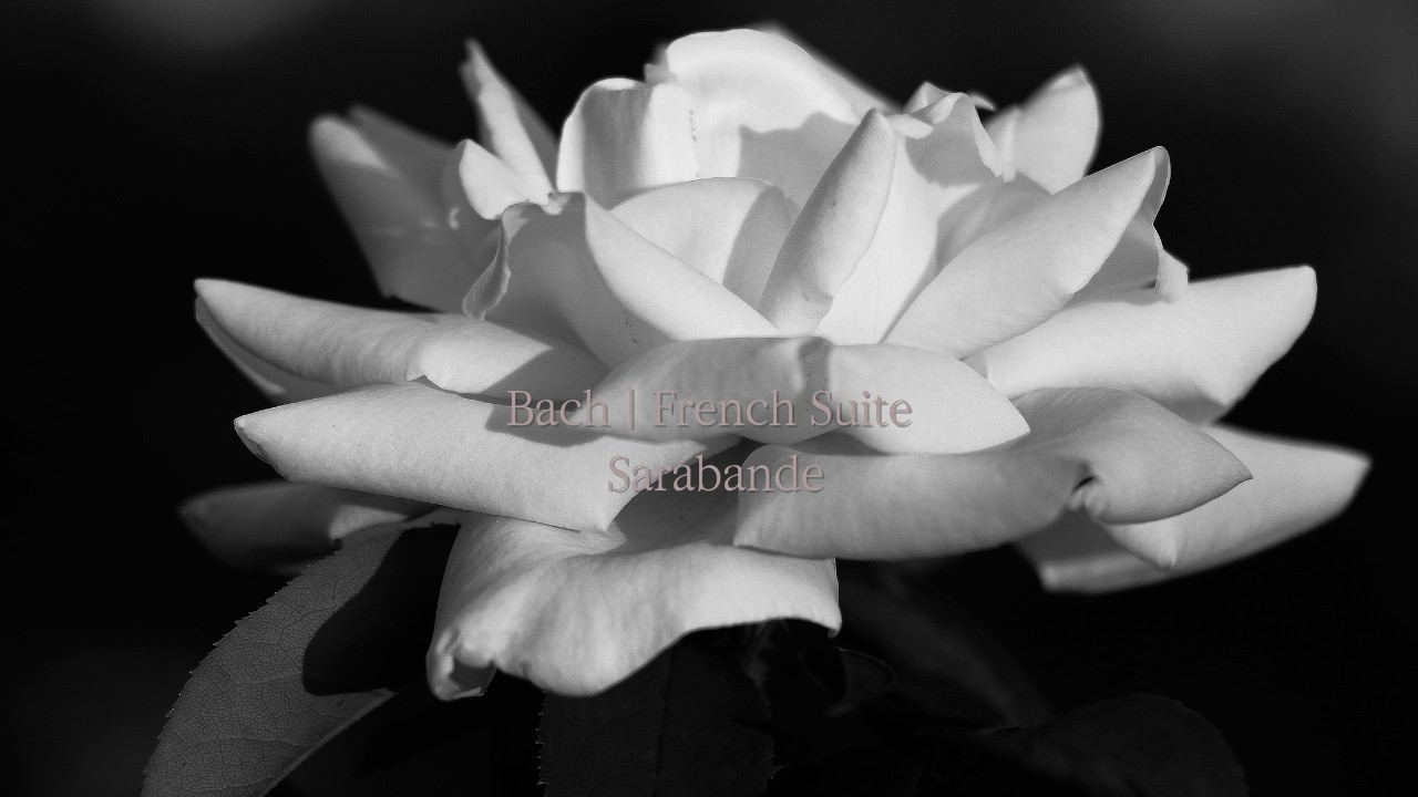 J. S. Bach : French Suite No.3 Sarabande in B minor, BWV 814 | 바흐 프랑스 조곡 3번