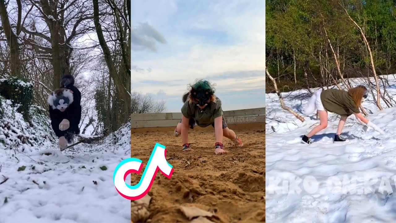 Therian and Quadrobics TikTok Compilation || Alterhumans of TikTok #19