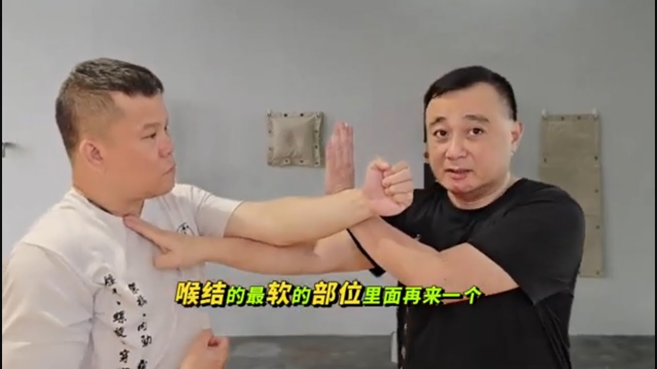 Singapore Wing Chun Academy - 攻击性手法之标指