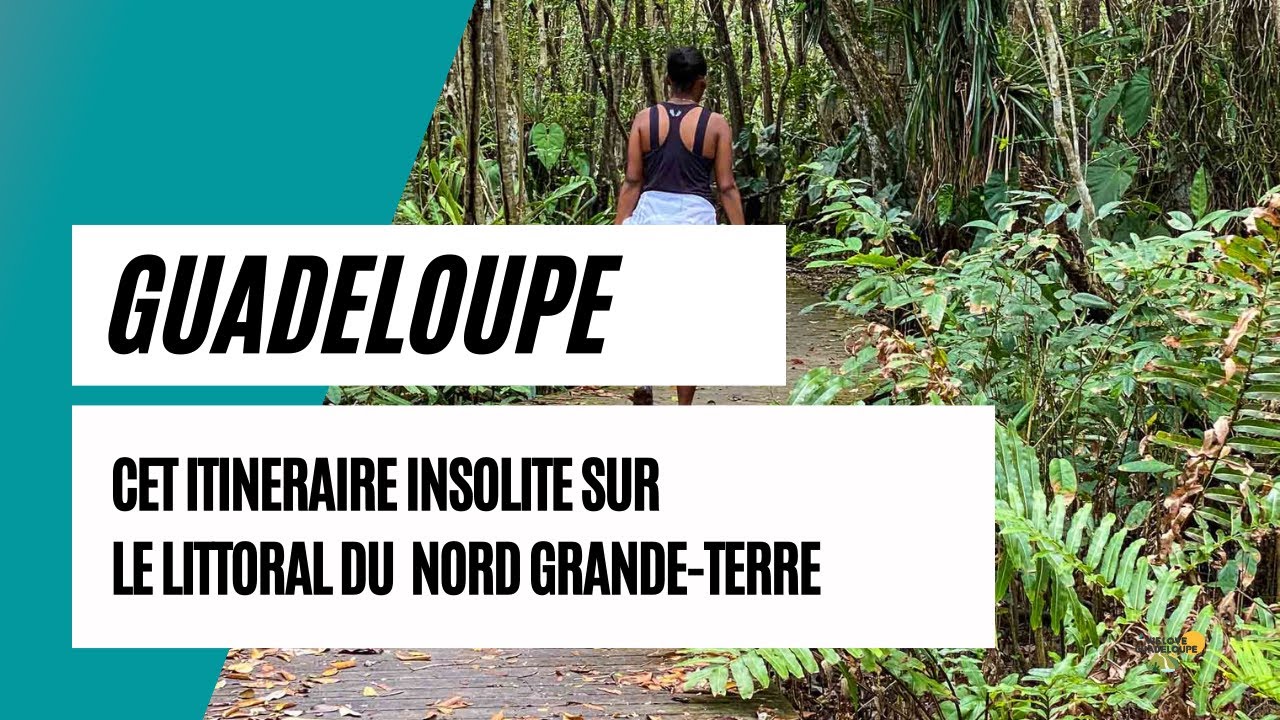 J'adore cet itinéraire insolite dans le Nord Grande-Terre en Guadeloupe