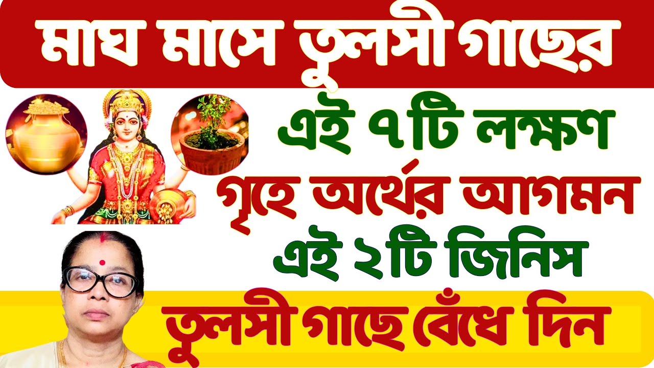 মাঘ মাসে তুলসী গাছের এই ৭টি লক্ষণ ধনী করবে এই ২টি জিনিস গাছে বেঁধে দিন।