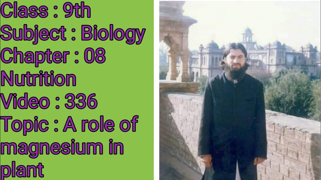 A Role of Magnesium in plant. || Nutrition || 9th class biology in Pashto