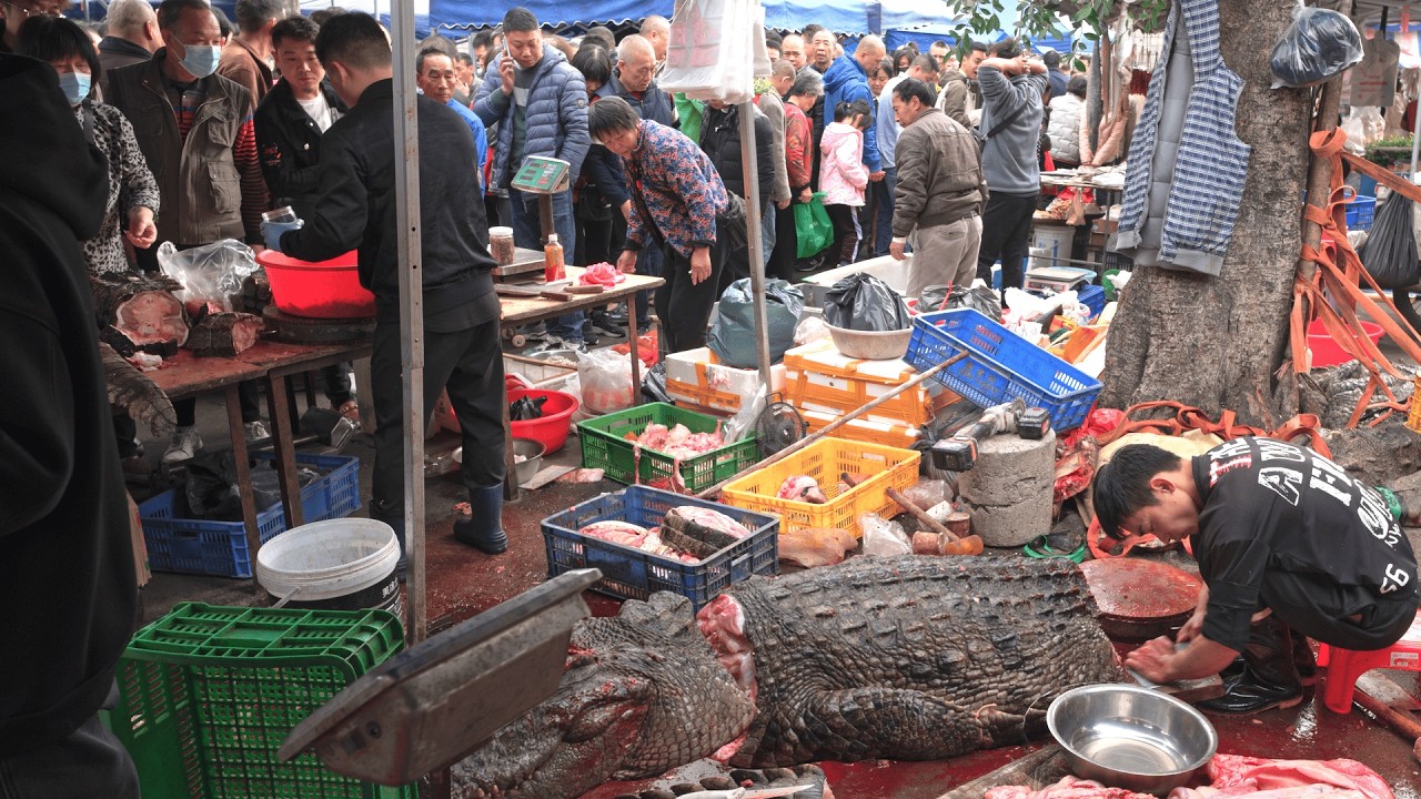 Exploring Canton China's Incredible and Varied Street Food & Market