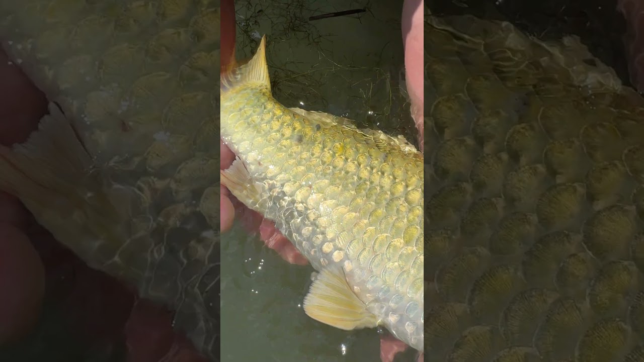 Beauty-Alarm ⚠️⚠️⚠️ 