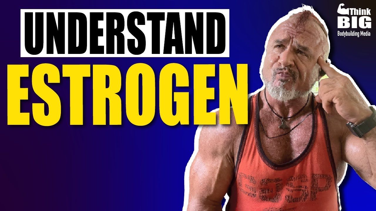 ESTROGEN - RECEPTORS, BINDING, AROMATASE - MUSCLE MINDS BODYBUILDING QA 116