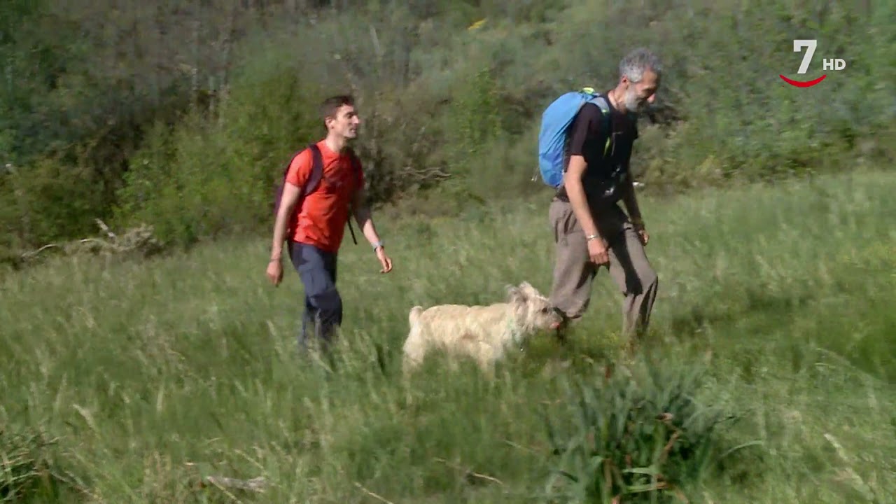 Parques Naturales T2/E6: Pico Curavacas, el señor de Palencia