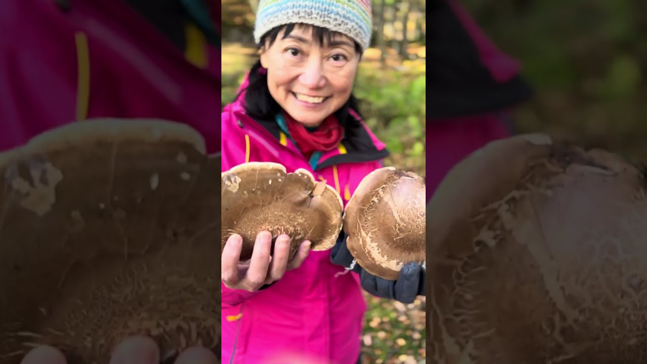 Foraging with Dogs and Friends