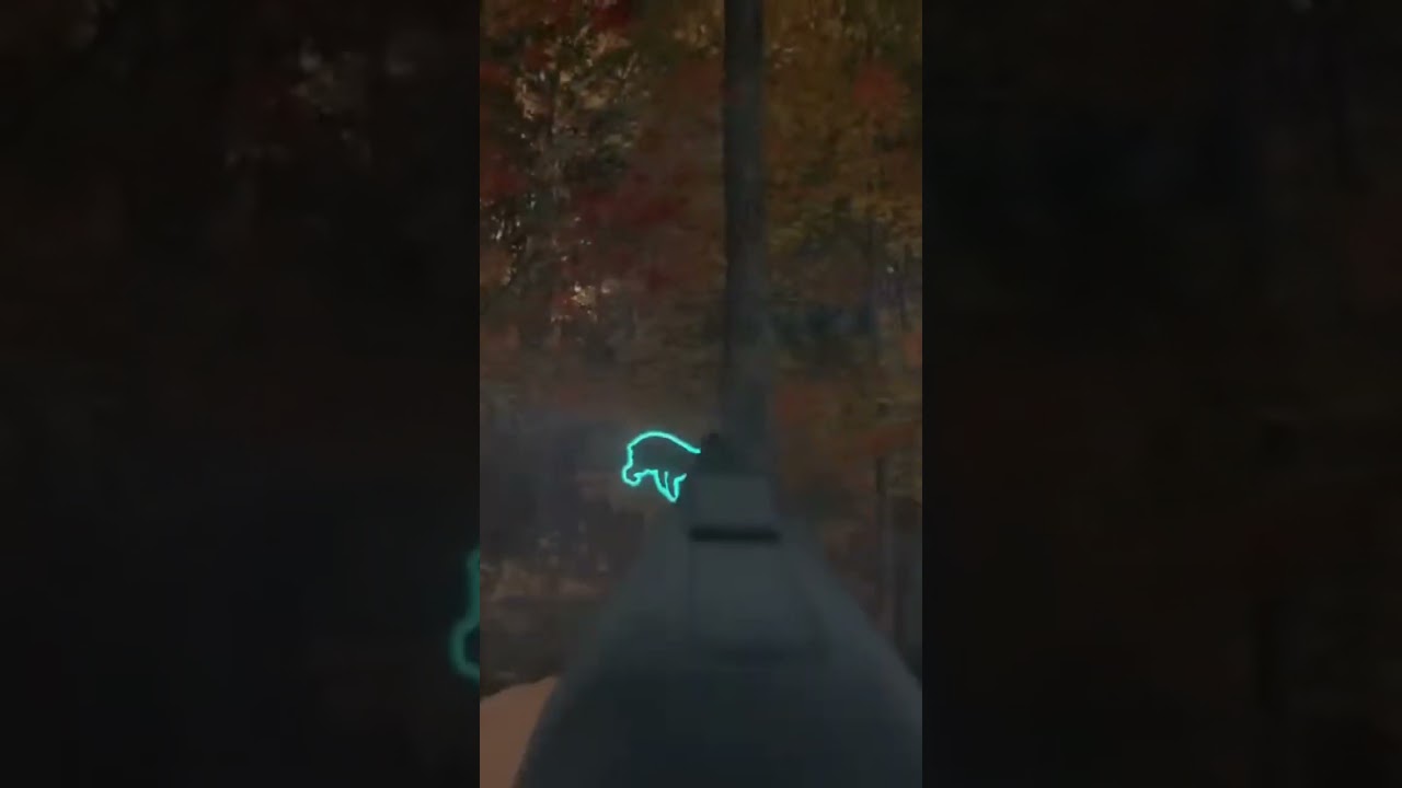 Cotw Hunting Black Bear In The New England Mountains #cotwgameplay #cotw #blackbearhunting #hcotw