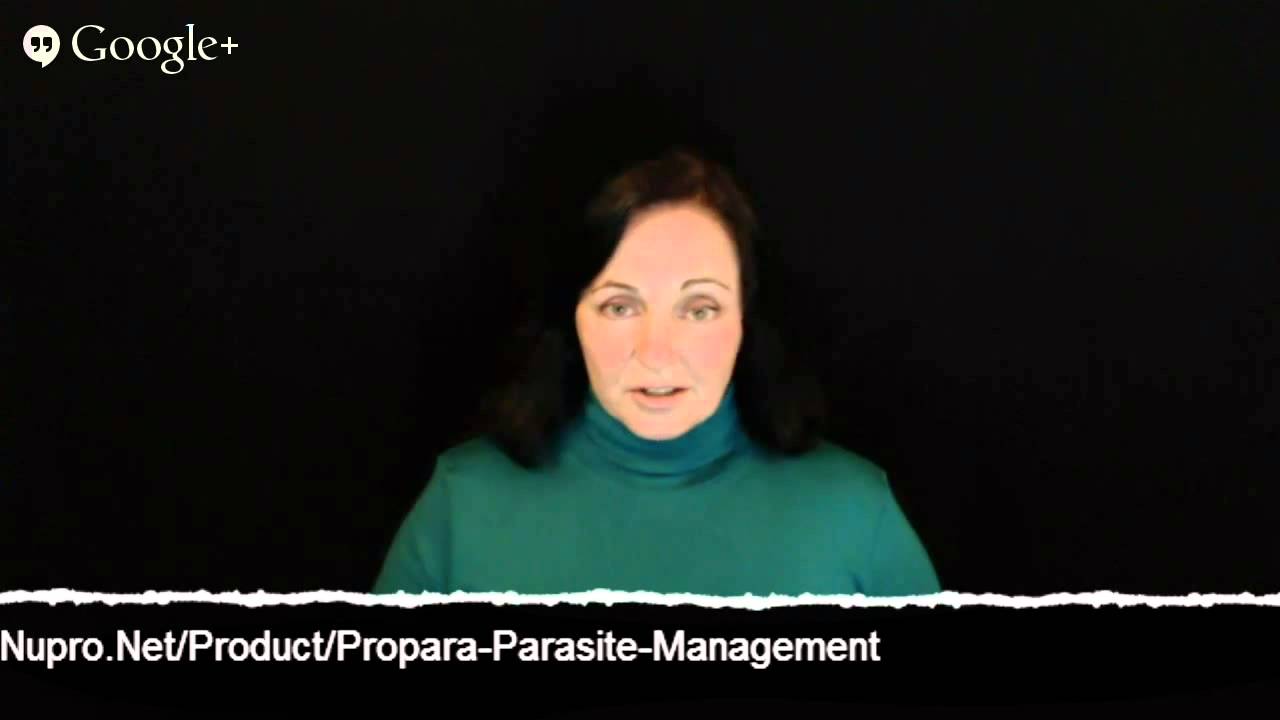 Natural Parasite Cleanse - Safe, Effective, Simple, & Easy - (800) 704-8910