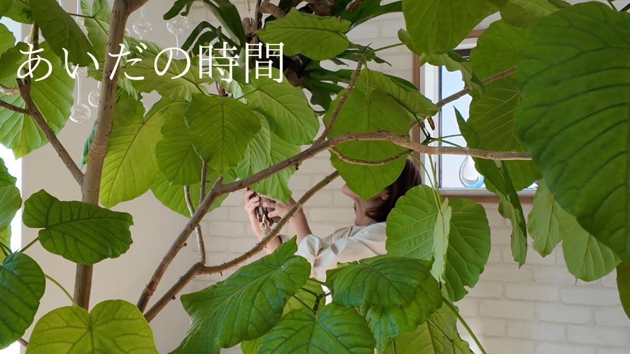 「朝と朝の間、冬の海」