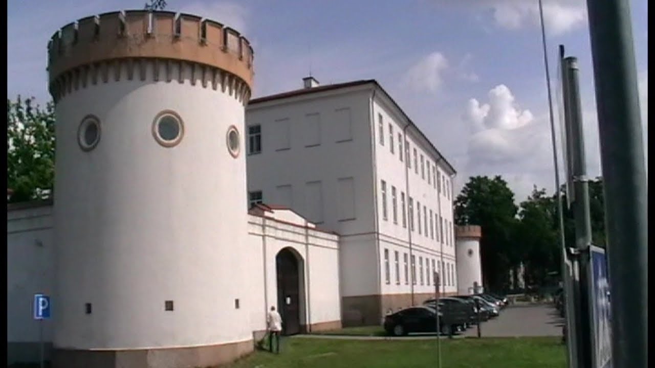 Tauragė (1938 * 1981 * 2019) ***  su didele meile TAU