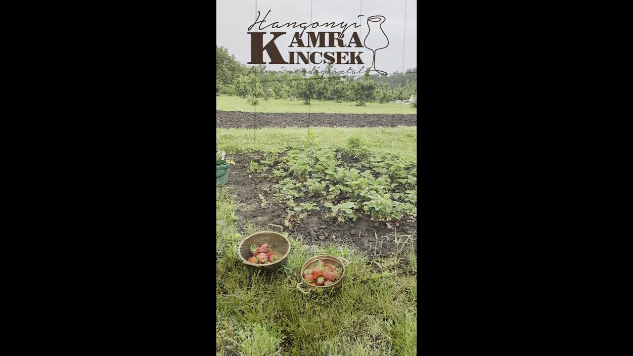 Hangonyi Porta: Kamrakincsek házi eper lekvár főzés rézüstben hagyományosan a nyuszik társaságában