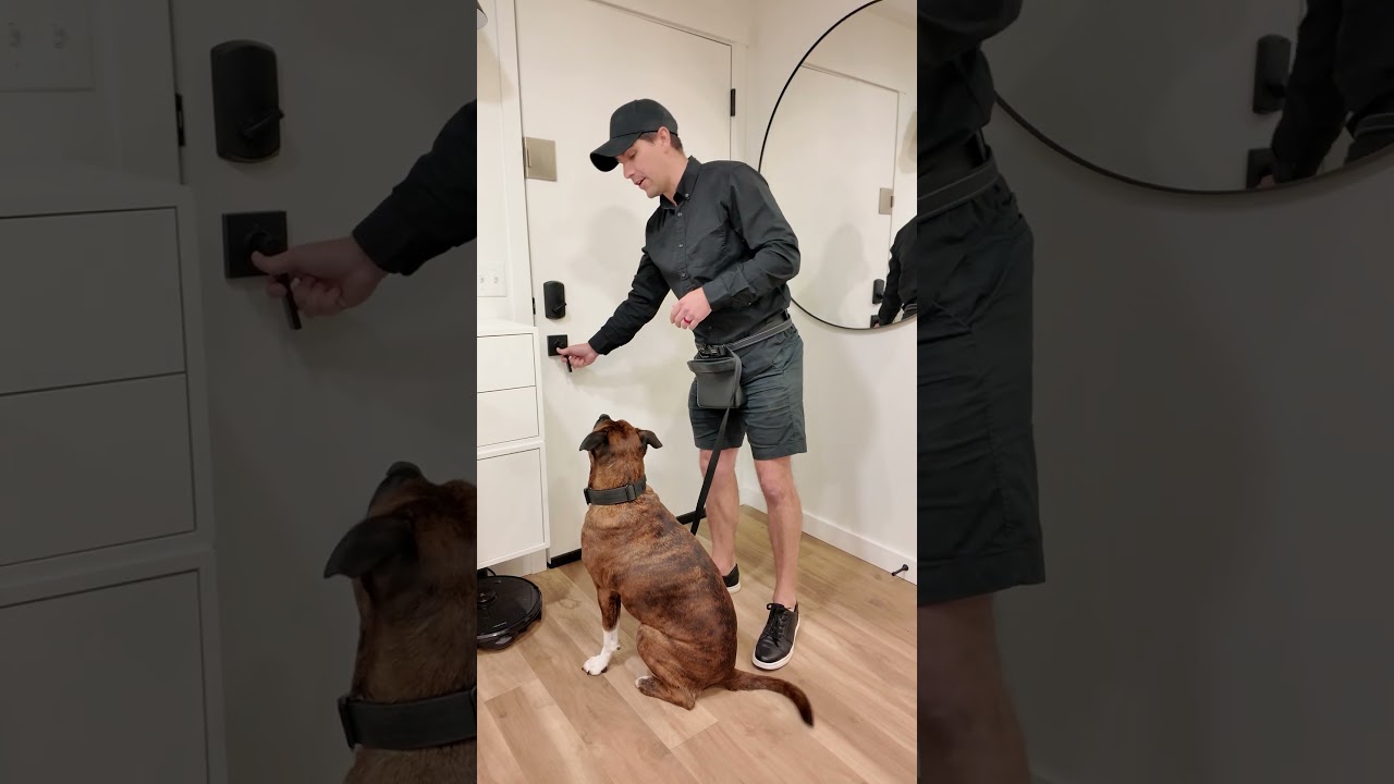Teach Your Dog Not to Dart Out the Front Door (Fast!) #dogtraining #puppytraining #dogtrainer
