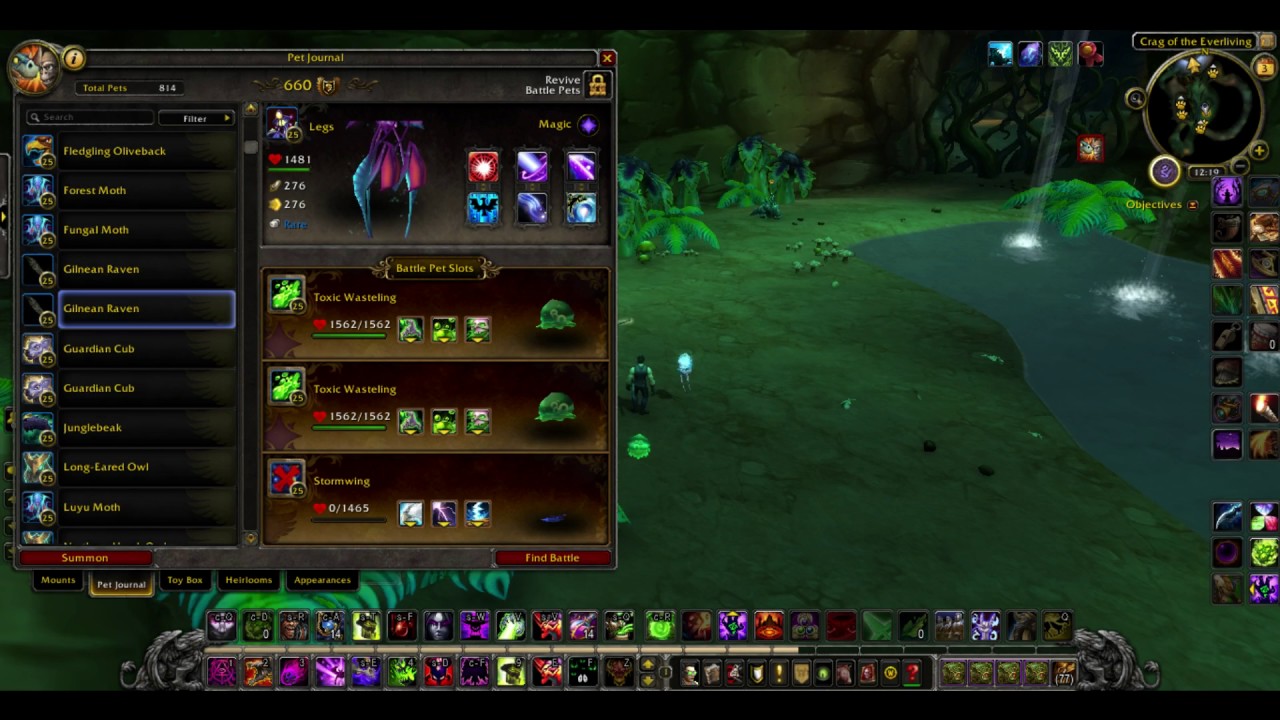 7.2 Pet Battle Dungeon HUGE CHANGE Much harder. With Loot!