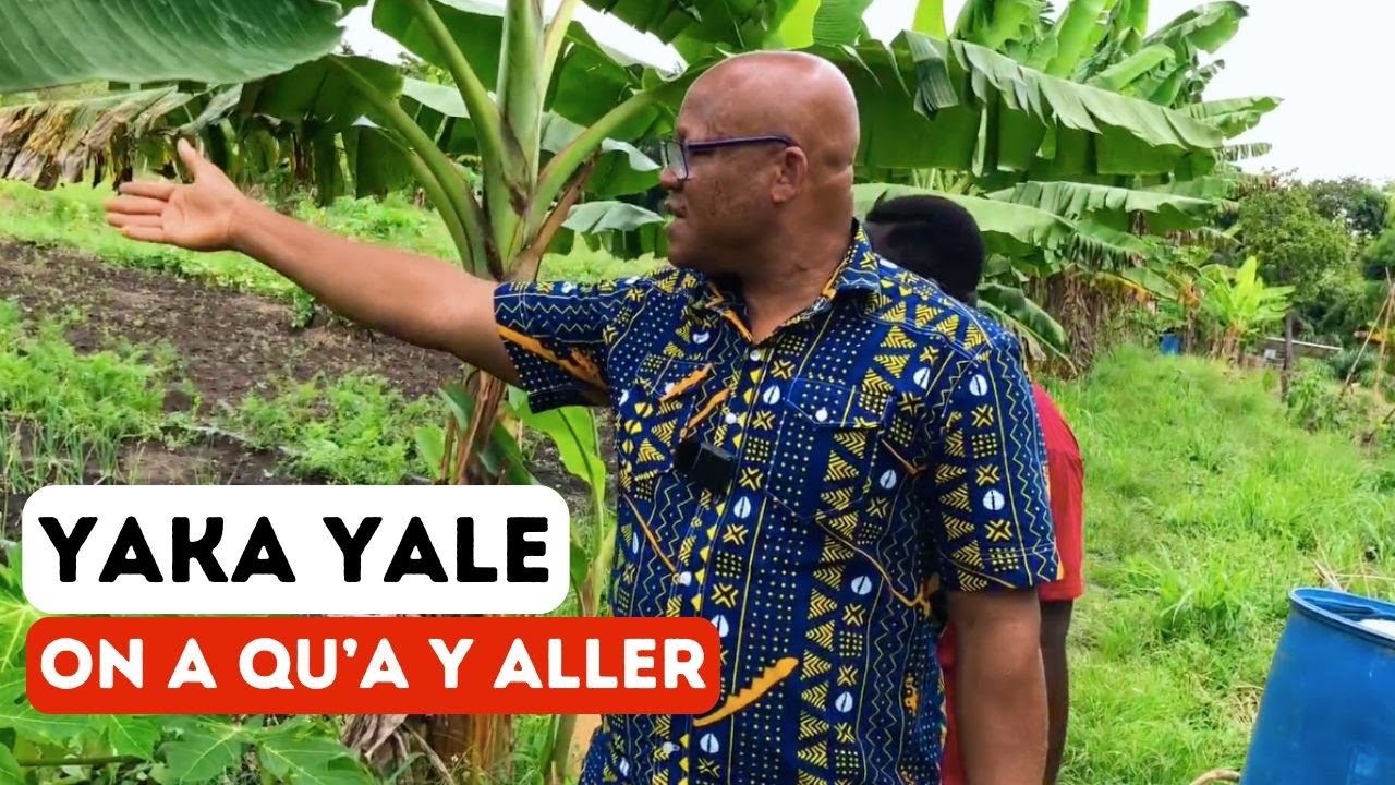 JE DECOUVRE LA FERME LA PLUS VISITEE DE KPALIME