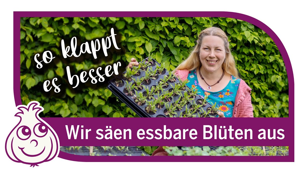 Aussaaten im Mai | Blumen für Mischkultur mit Gemüse