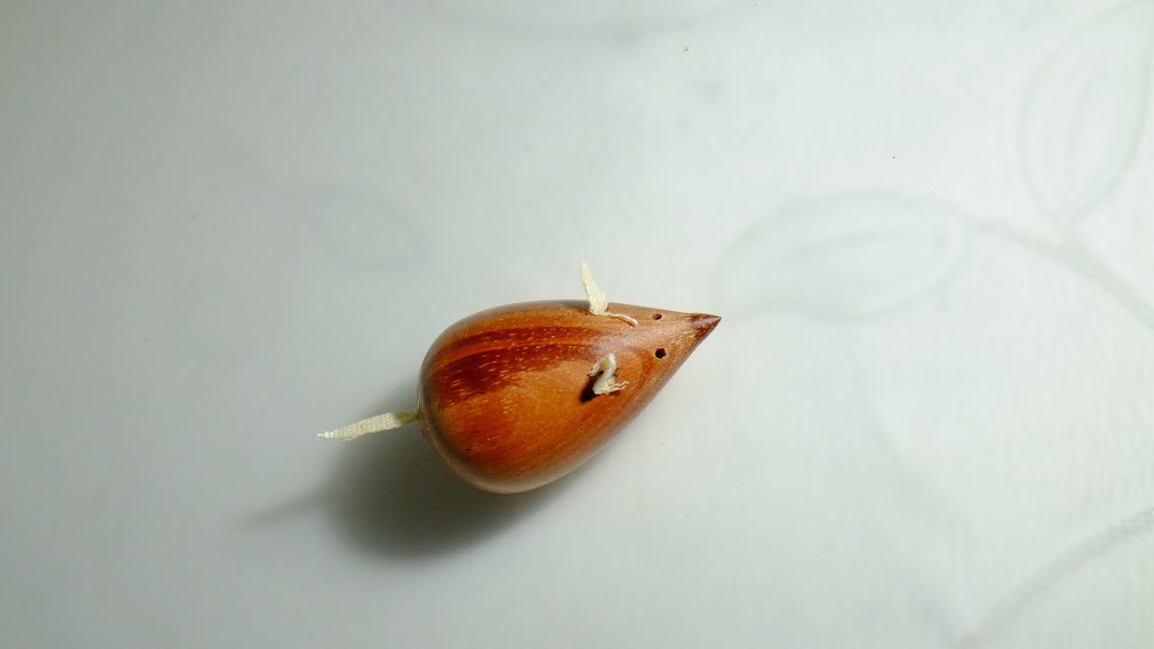 #woodturing, # wooden mouse, # woodlathe,  Making a tiny wooden mouse